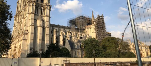 Notre-Dame de Paris en cours de restauration, 2019 - Sputnik Afrique