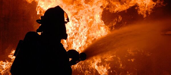 un pompier (image d'illustration) - Sputnik Afrique