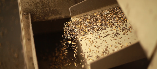 Une ferme bio russe, Tomsk - Sputnik Afrique