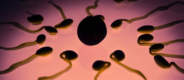 Fécondation - Sputnik Afrique