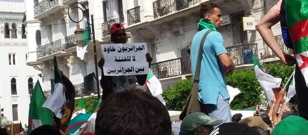 Les Algériens sont tous frères. Non à la division, écrit ce manifestant le 5 juillet 2019 à Alger. - Sputnik Afrique