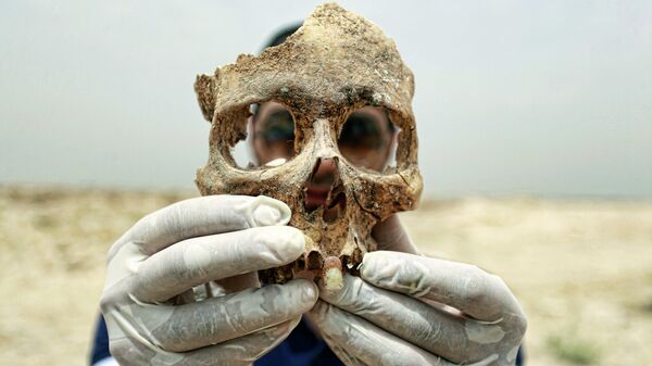 Crâne humain - Sputnik Afrique