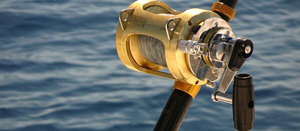 Pêche, image d'illustration - Sputnik Afrique