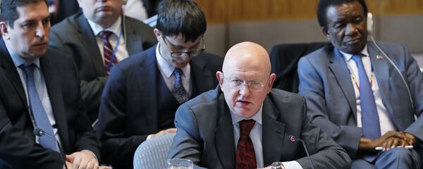 Vassili Nebenzia - Sputnik Afrique