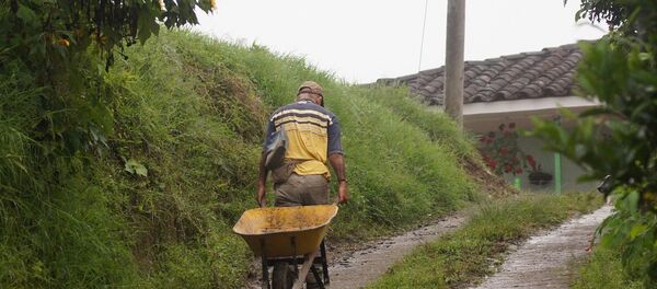 Un agriculteur  - Sputnik Afrique