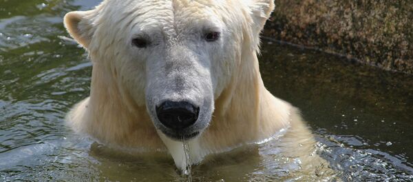 Climat Changes - Sputnik Afrique