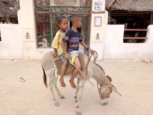 Enfants sur un âne dans une rue de Lamu. - Sputnik Afrique