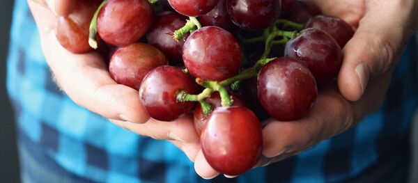 Raisin - Sputnik Afrique