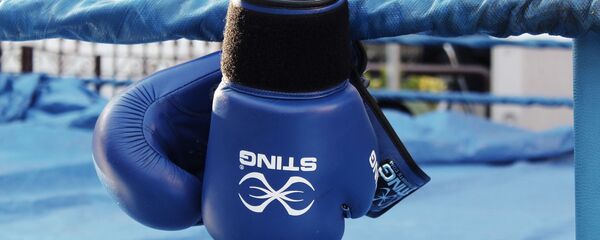 Gants de boxe Gants de boxe - Sputnik Afrique