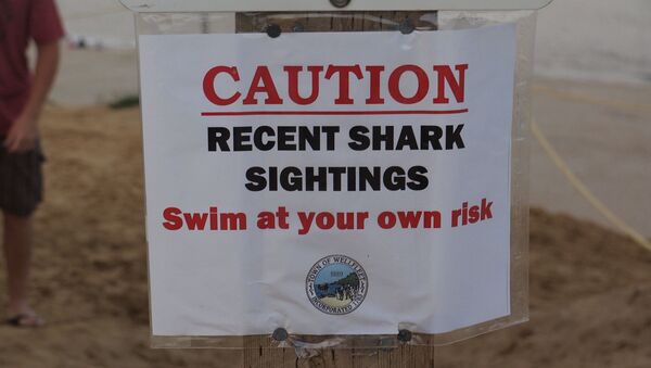 Un avertissement sur la présence de requins au cap Cod - Sputnik Afrique