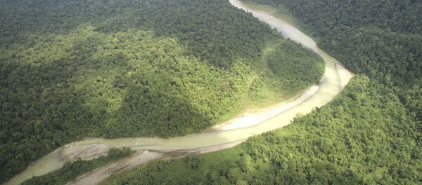 Amazonie - Sputnik Afrique