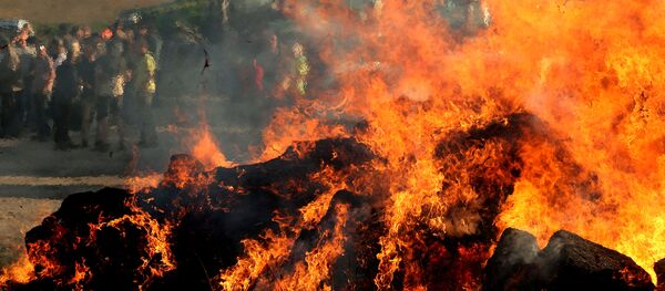 Des agriculteurs français allument des «feux de la colère»  - Sputnik Afrique