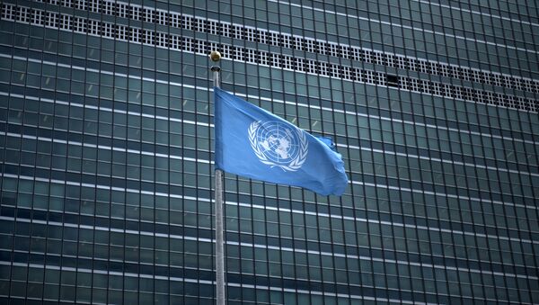 Le drapeau des Nations Unies - Sputnik Afrique