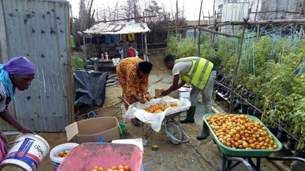 Sur le site de production d’Agrolight dans le nord d’Abidjan - Sputnik Afrique