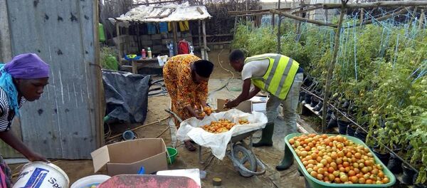 Sur le site de production d’Agrolight dans le nord d’Abidjan - Sputnik Afrique