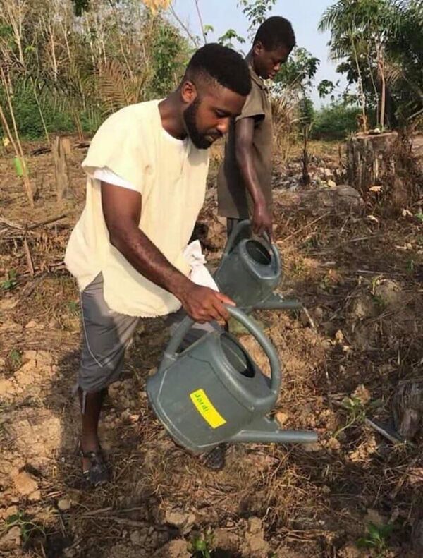 L’agriculture urbaine biologique à la conquête de la Côte d’Ivoire L’agriculture urbaine biologique à la conquête de la Côte d’Ivoire - Sputnik Afrique