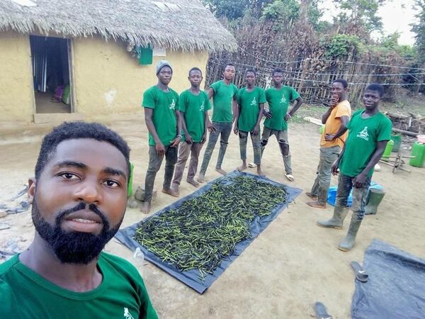 L’agriculture urbaine biologique à la conquête de la Côte d’Ivoire L’agriculture urbaine biologique à la conquête de la Côte d’Ivoire - Sputnik Afrique