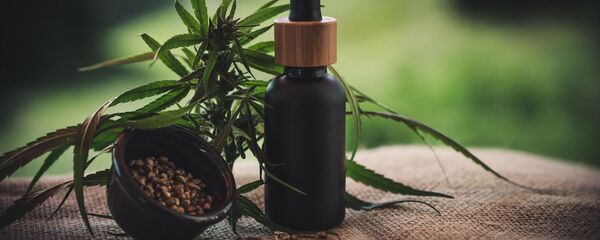 Cannabis - Sputnik Afrique