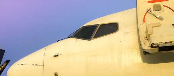 Un Boeing 737-800 - Sputnik Afrique