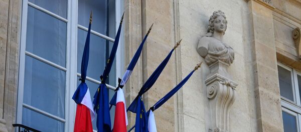 Élysée - Sputnik Afrique