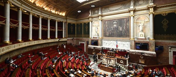 Assemblée nationale - Sputnik Afrique