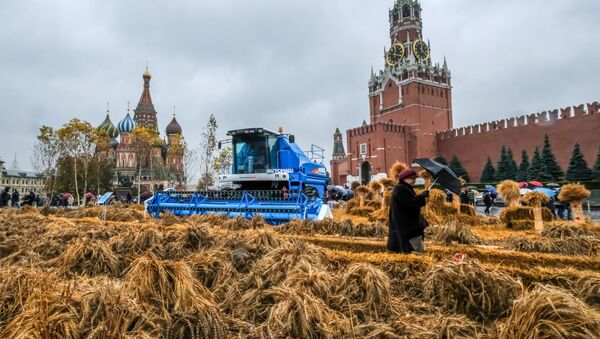 Фестиваль осени на Красной площади в Москве - Sputnik Afrique