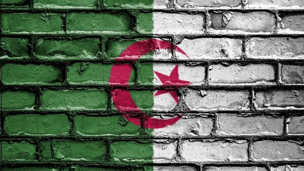 Couleurs du drapeau algérien (image d'illustration) - Sputnik Afrique