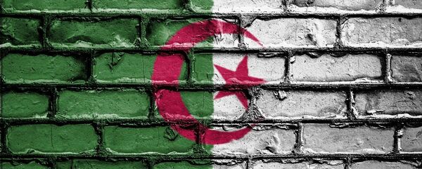 Couleurs du drapeau algérien (image d'illustration) - Sputnik Afrique