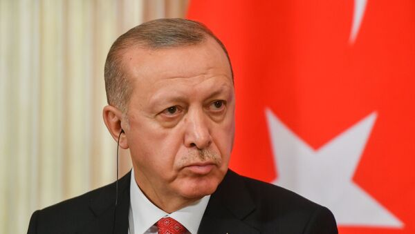  Recep Tayyip Erdogan ( photo d'archives) - Sputnik Afrique