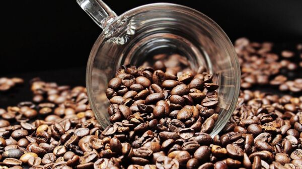 Grains de café - Sputnik Afrique
