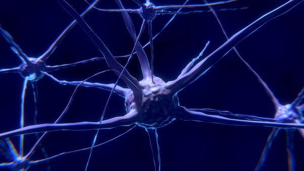 Neurone (image d'illustration) - Sputnik Afrique