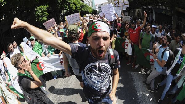 Manifestants du Hirak, Algérie - Sputnik Afrique