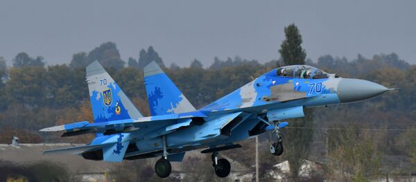Su-27 ukrainien - Sputnik Afrique