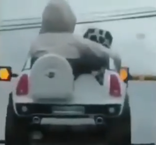 Danger mortel ou jeu amusant? Ce conducteur met ses enfants sur le toit de sa voiture Danger mortel ou jeu amusant? Ce conducteur met ses enfants sur le toit de sa voiture - Sputnik Afrique