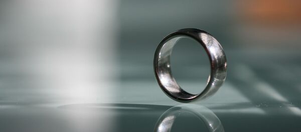 Une alliance - Sputnik Afrique