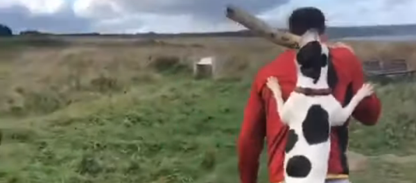 Une prise ferme: un chien têtu s’accroche à un morceau de bois que son maître porte à l’épaule - Sputnik Afrique