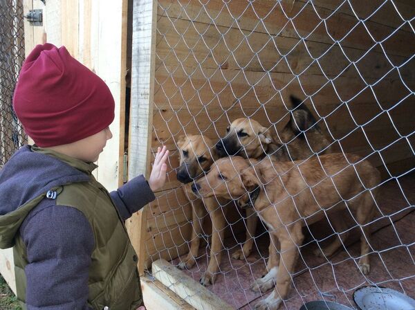 À 9 ans, ce Russe crée des portraits d’animaux et les échange contre de la nourriture pour un refuge animalier – images À 9 ans, ce Russe crée des portraits d’animaux et les échange contre de la nourriture pour un refuge animalier – images - Sputnik Afrique