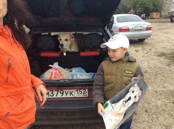 À 9 ans, ce Russe crée des portraits d’animaux et les échange contre de la nourriture pour un refuge animalier – images À 9 ans, ce Russe crée des portraits d’animaux et les échange contre de la nourriture pour un refuge animalier – images - Sputnik Afrique