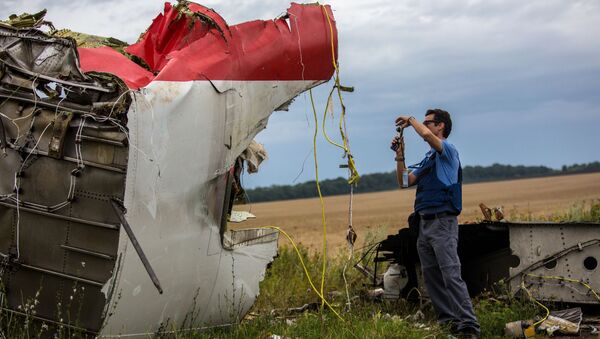 Des experts de l'OSCE sur les lieux du crash d'un Boeing 777 de Malaysia Airlines dans le Donbass (juillet 2014) - Sputnik Afrique