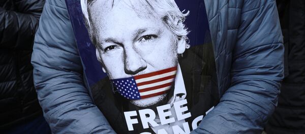 Une affiche dans les mains d'un participant au rassemblement en faveur de Julian Assange près du bâtiment du Tribunal de Westminster à Londres - Sputnik Afrique
