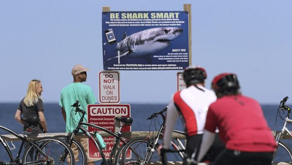 Un panneau de signalisation sur une plage du cap Cod avertissant contre la possible présence de requins dans les eaux - Sputnik Afrique