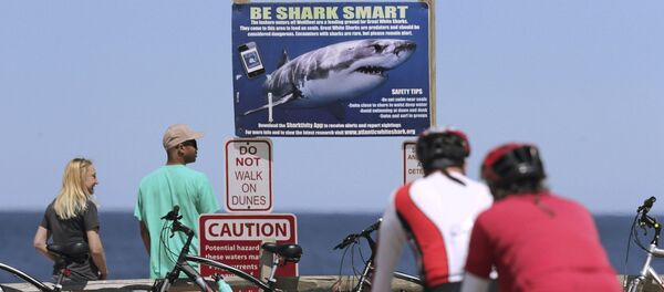 Un panneau de signalisation sur une plage du cap Cod avertissant contre la possible présence de requins dans les eaux - Sputnik Afrique