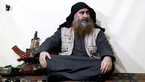 Abou Bakr al-Baghdadi - Sputnik Afrique