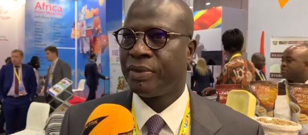 Emmanuel Essis Esmel - Sputnik Afrique