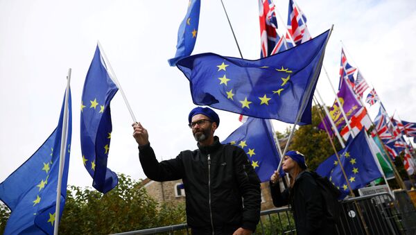 Anti-Brexit protesters demonstrate outside the Houses of Parliament in London, Britain, October 17, 2019 - Sputnik Afrique