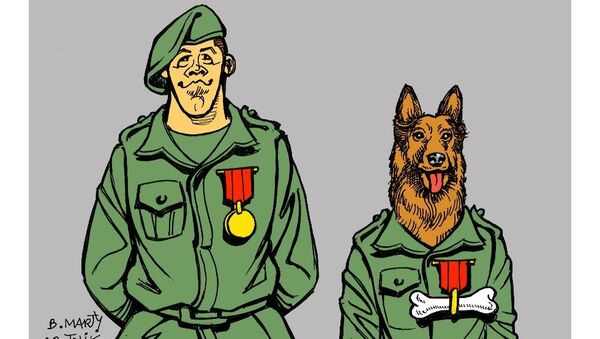 Le «chien héros» de l’armée US invité à la Maison-Blanche? - Sputnik Afrique