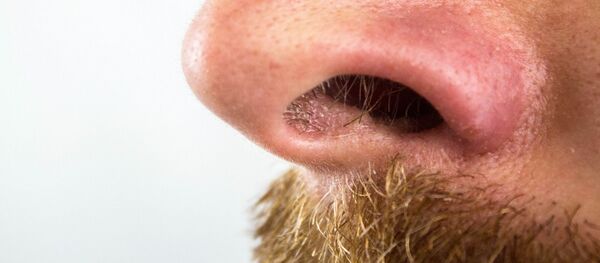 Nez - Sputnik Afrique