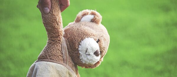 Ours en peluche - Sputnik Afrique