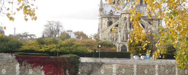Notre-Dame de Paris - Sputnik Afrique