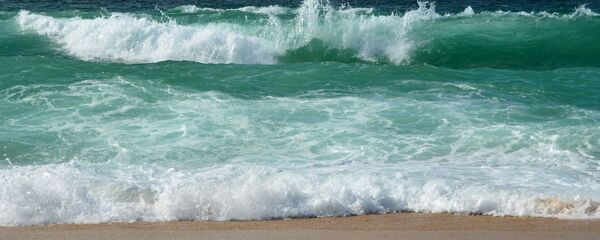 Сôte atlantique (image d'illustration) - Sputnik Afrique